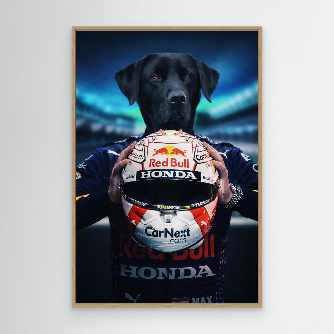 Speed Champion - Personalized Pet Canvas Print