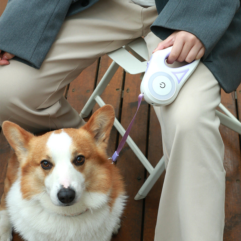 Automatic Dog Leash with Spotlight and Collar
