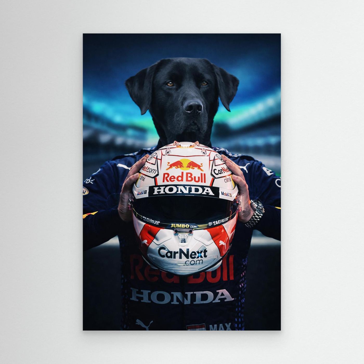 Speed Champion - Personalized Pet Canvas Print