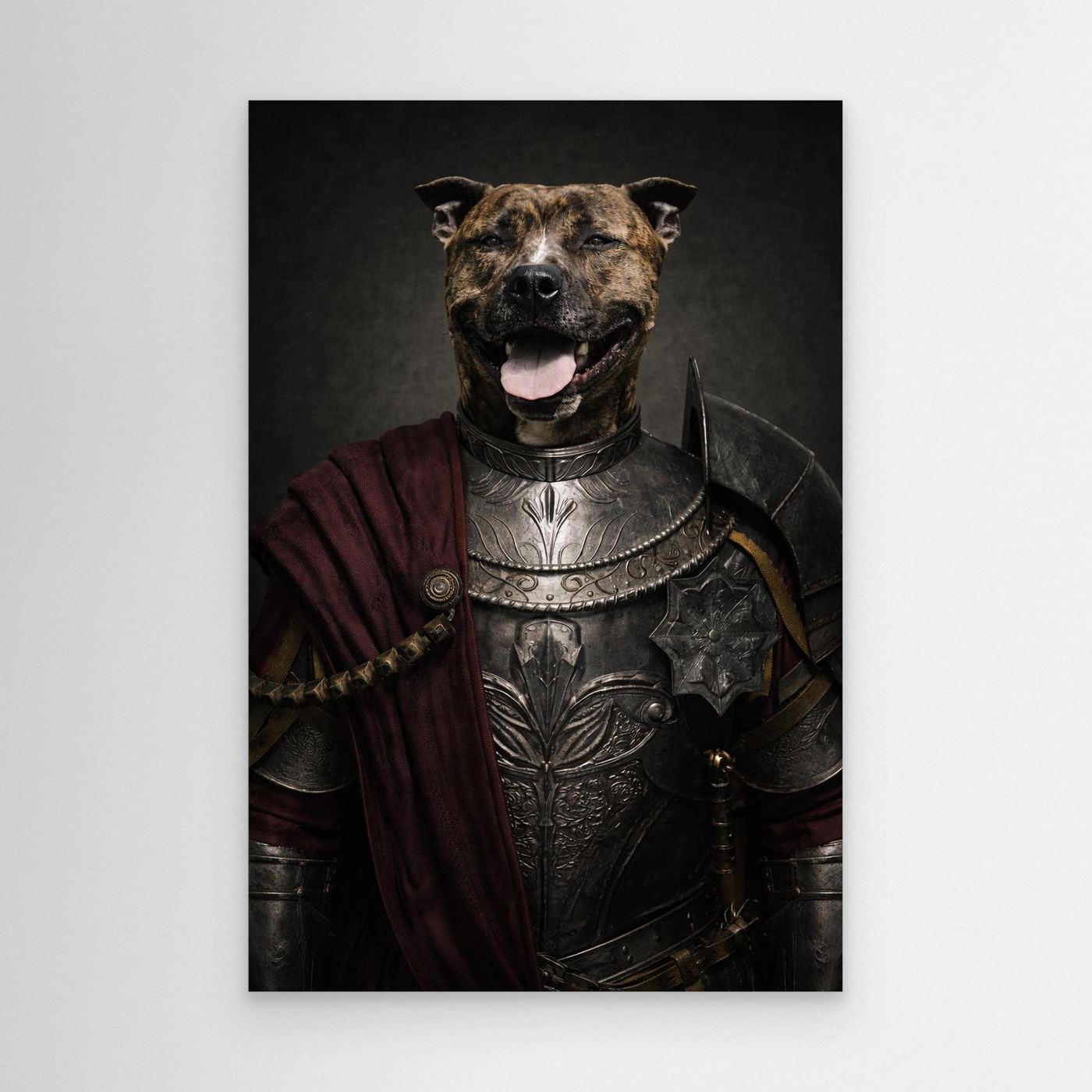 Royal Guard - Personalized Pet Canvas Print